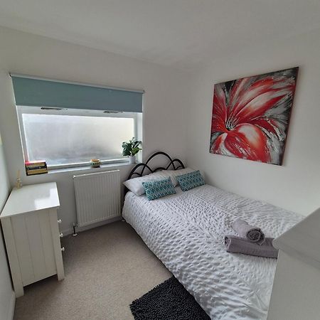 Hidden Gem Near The Beach With Pool Table New Quay Exteriér fotografie