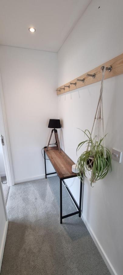 Hidden Gem Near The Beach With Pool Table New Quay Exteriér fotografie